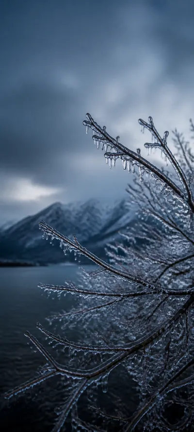 Blue Hour Frozen Rain
