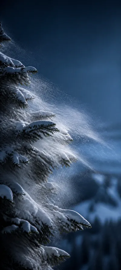 Blue Hour Snowy Forest Wind
