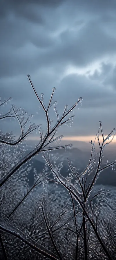 Cinematic Dawn Frozen Rain