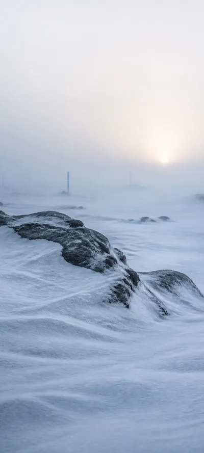 Cinematic Dawn Polar Whiteout