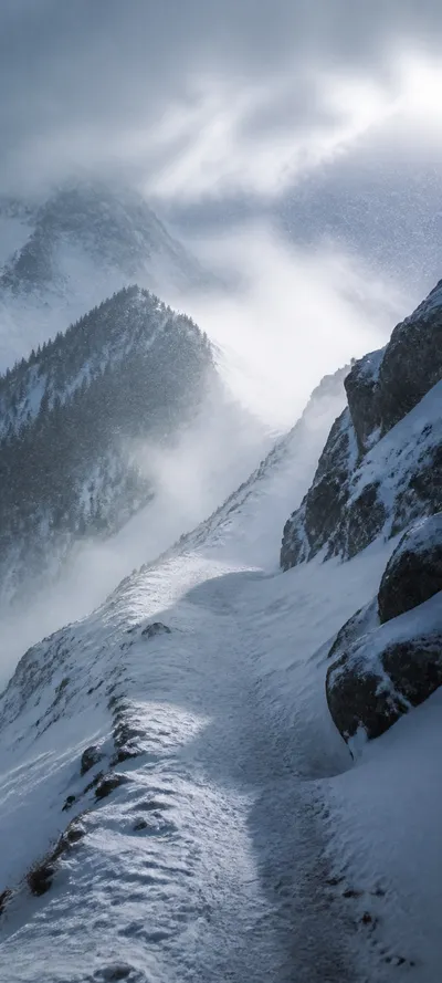 Editorial Detail Alpine Blizzard