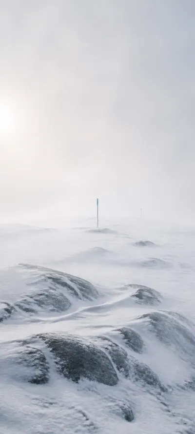Editorial Detail Polar Whiteout