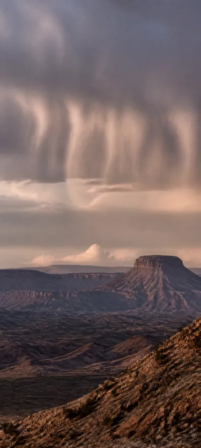 Editorial Detail Virga Desert