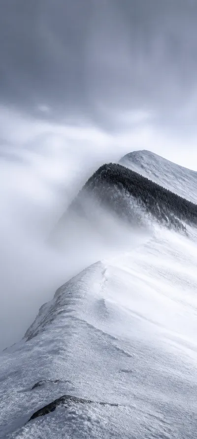 Minimal Luxe Alpine Blizzard