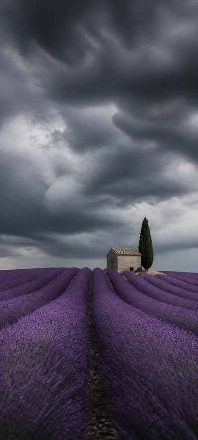 Minimal Luxe Storm Over Lavender